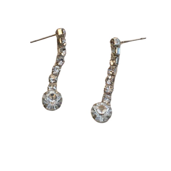 Droplet Bling Earrings